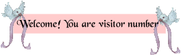 visitor